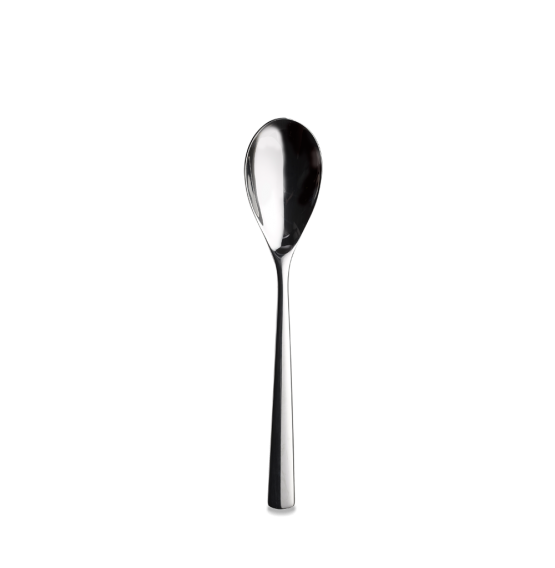 Evolve Table Spoon